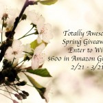 Totally Awesome Spring $600 Giveaway!