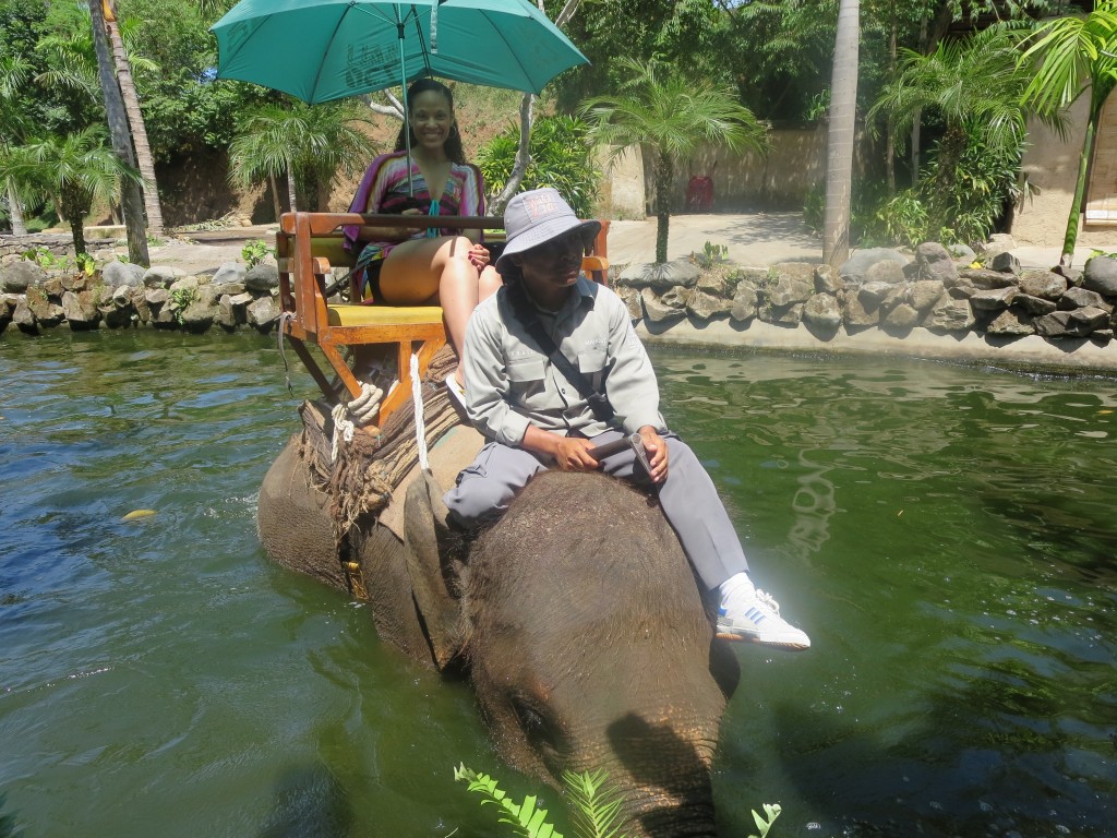 TRAVEL TIPS: THE ELEPHANT EXPEDITION IN BALI